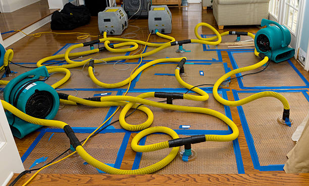 Professional Water Extraction technician working in Carversville, PA